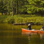 The Strongest Paddler in the Canoe