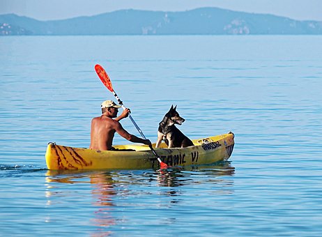 The 5 Best Kayaks For Dogs