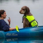 kayaking with dogs how to do it