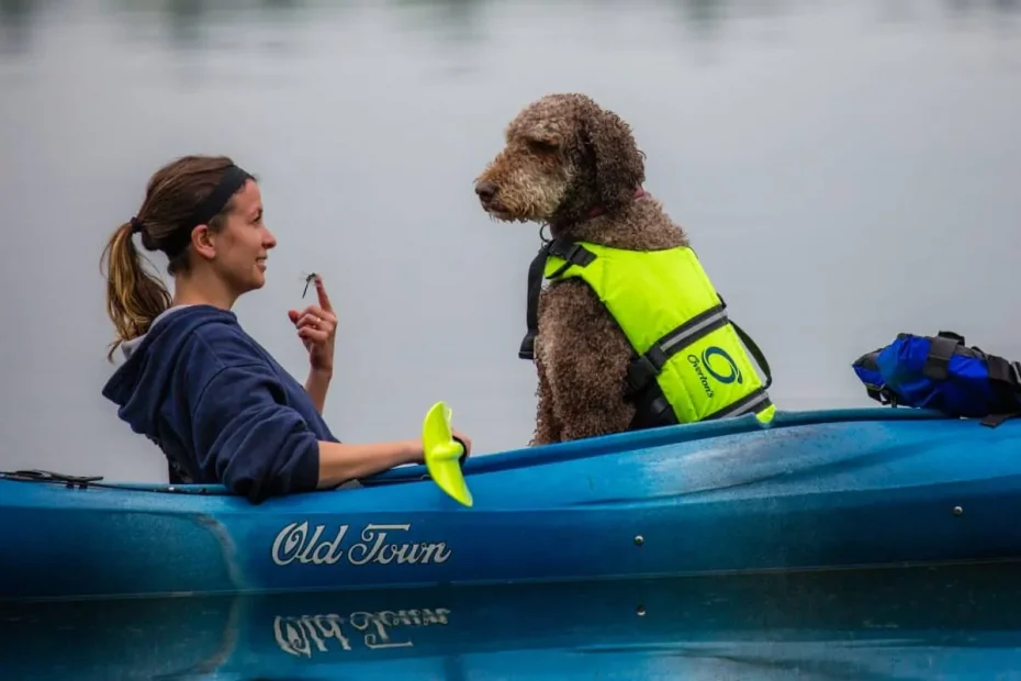 kayaking with dogs how to do it