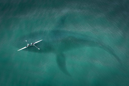 Beginners Guide to Sea Kayaking