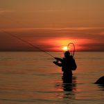 Top 5 Best Kayak Fishing Landing Nets