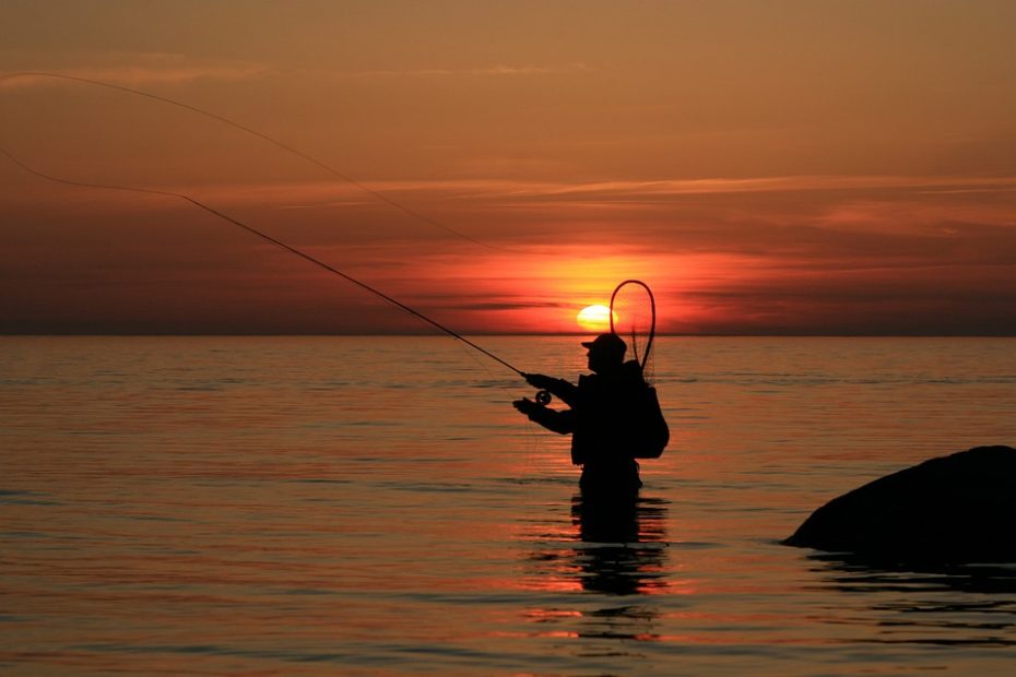 Top 5 Best Kayak Fishing Landing Nets