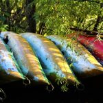 how to Store A Canoe Properly