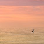 Stand Up Paddle Boarding Safety Tips