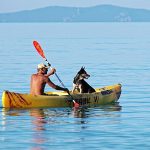 should you choose sit-on-top or sit-in kayak