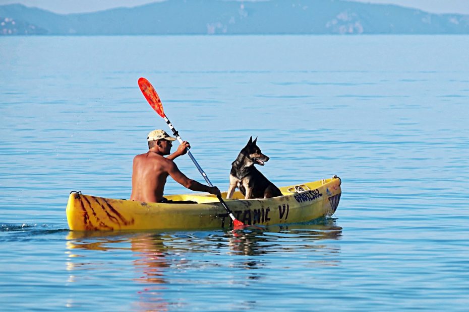 should you choose sit-on-top or sit-in kayak