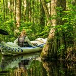 Free Millpond Cypress Pond photo and picture