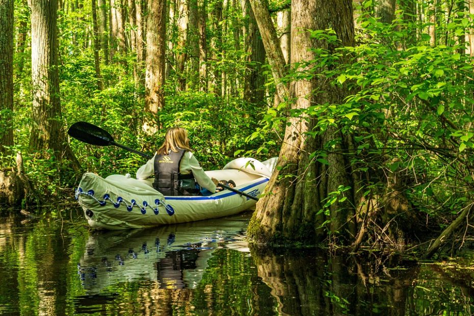 Free Millpond Cypress Pond photo and picture